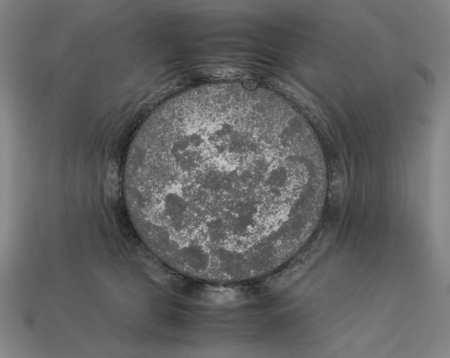 X0000113110469200909181632