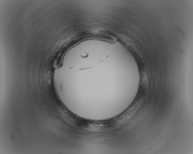 X0000113110470200909181632