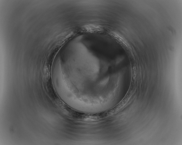 X0000113110471200909181632