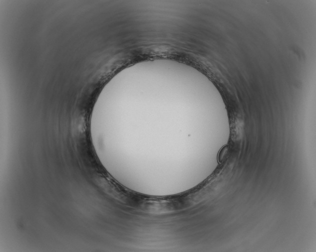 X0000113110472200909181632