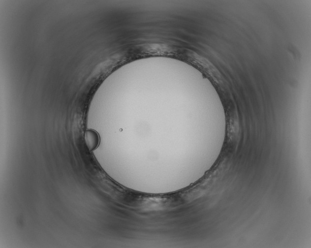 X0000113110473200909181632