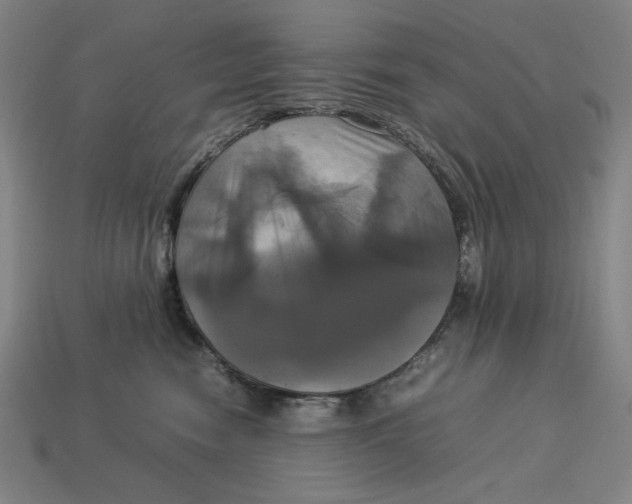 X0000113110474200909181632