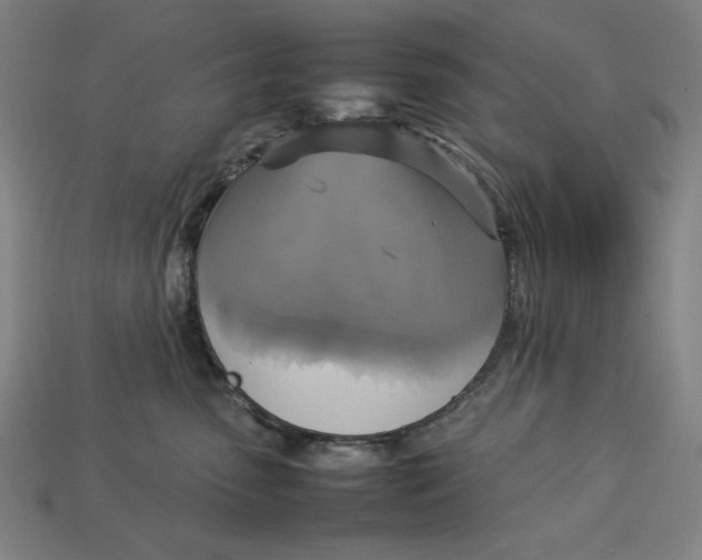 X0000113110475200909181632