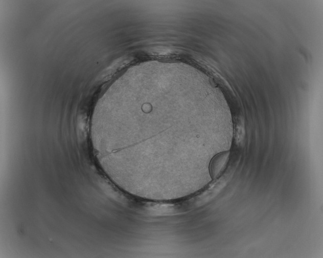 X0000113110476200909181632