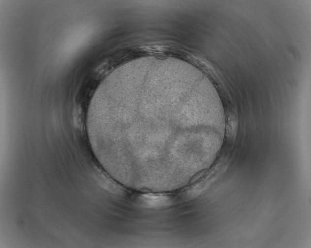 X0000113110477200909181632