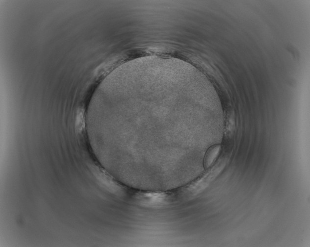 X0000113110478200909181632