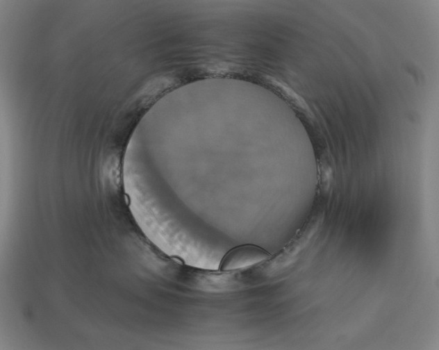 X0000113110479200909181632