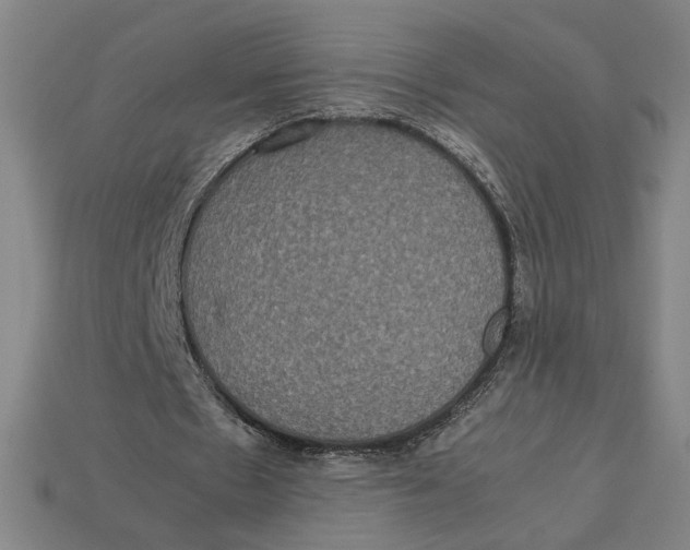 X0000113110481200909181632