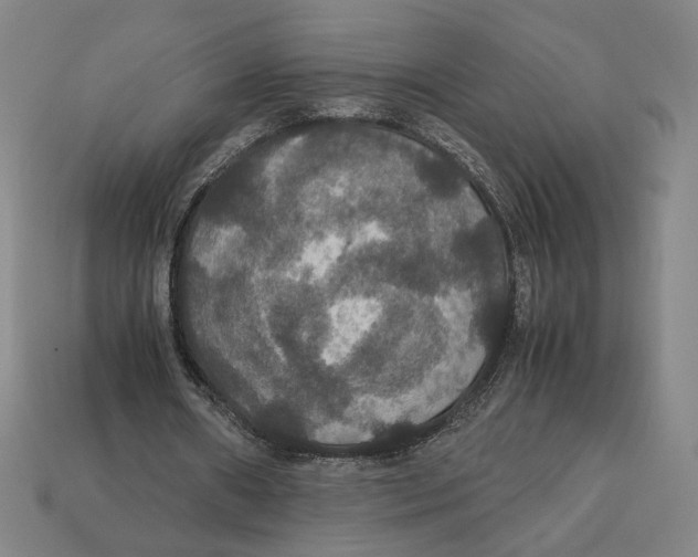 X0000113110482200909181632