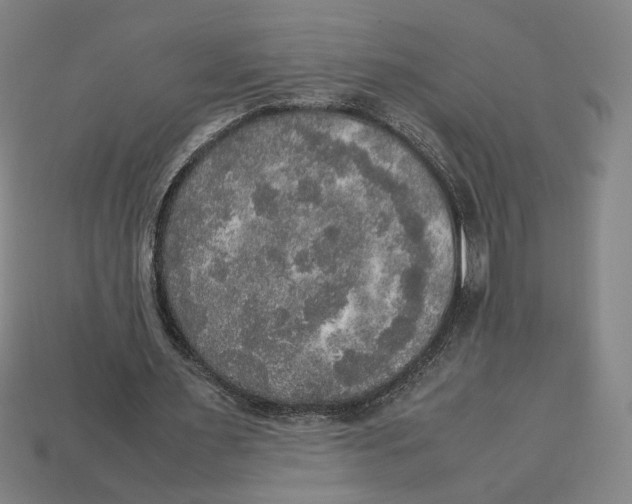 X0000113110483200909181631