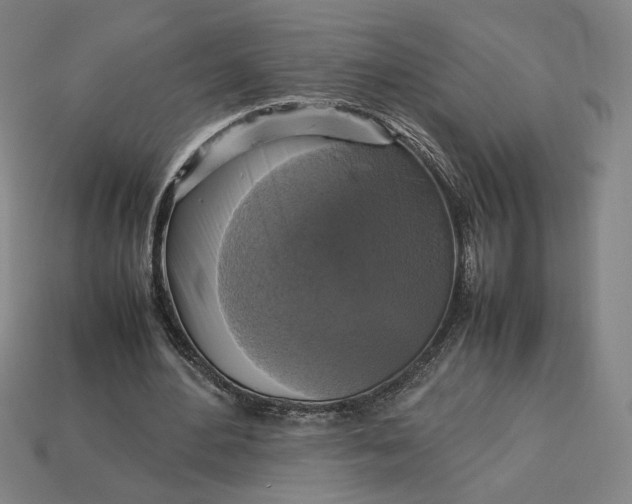 X0000113110484200909181631