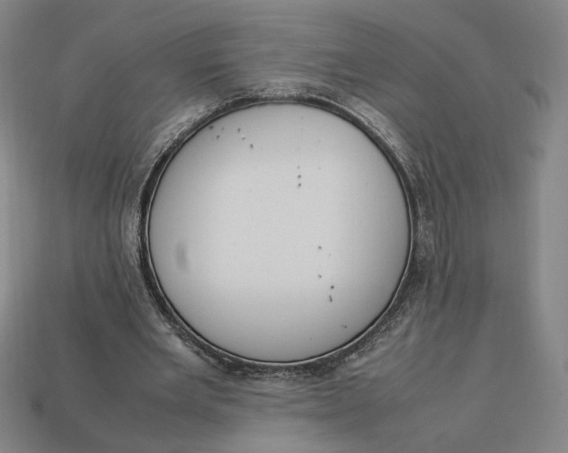 X0000113110485200909181631