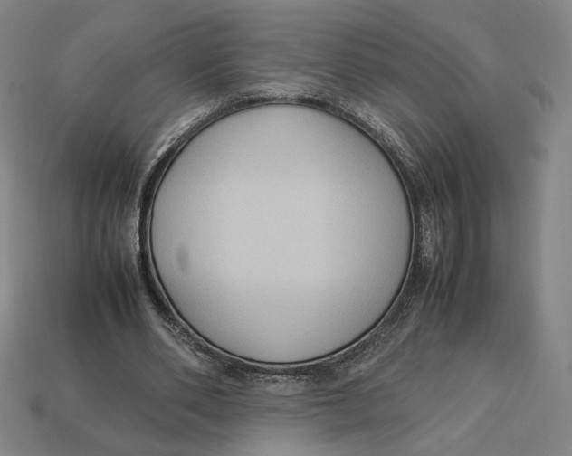 X0000113110486200909181631