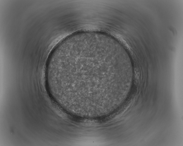 X0000113110487200909181631