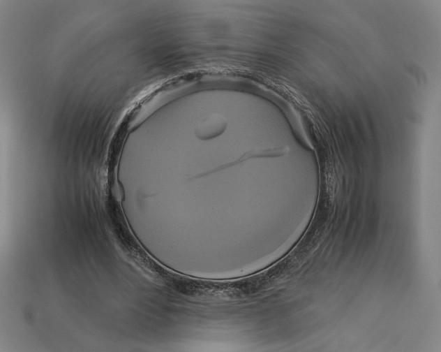 X0000113110488200909181631