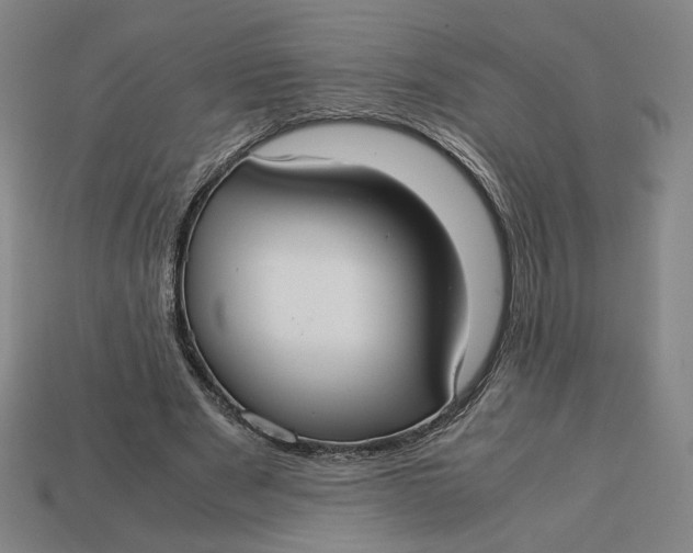 X0000113110489200909181631