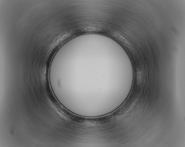 X0000113110490200909181631