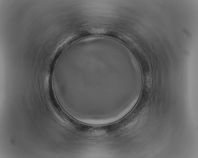 X0000113110491200909181631
