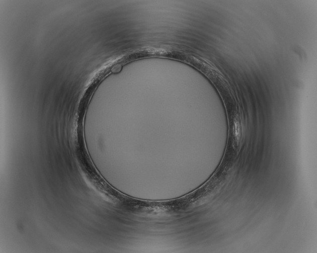 X0000113110492200909181631