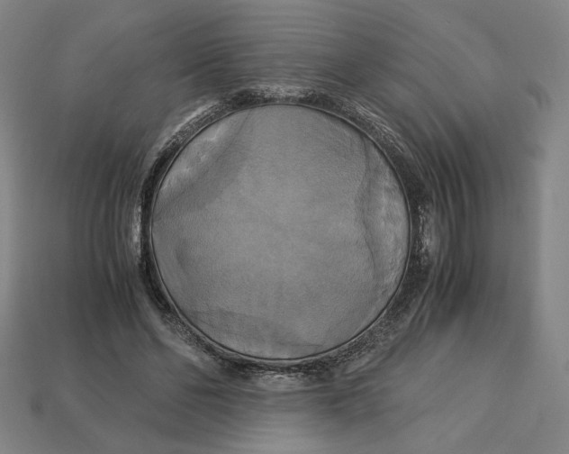 X0000113110494200909181631