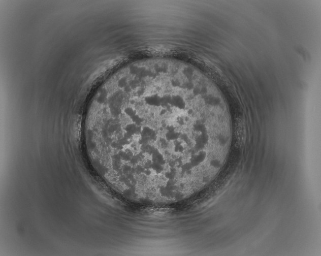 X0000113110495200909181631