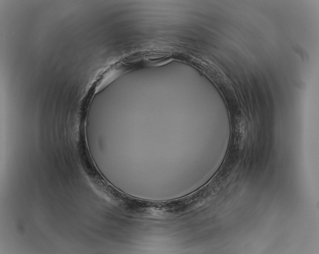 X0000113110496200909181631
