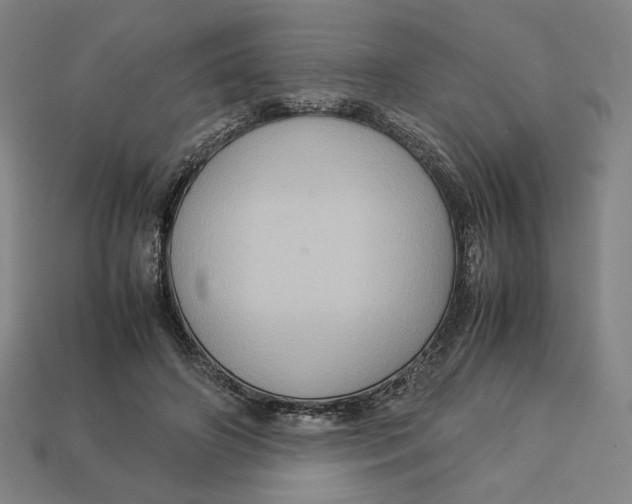 X0000113110498200909181631