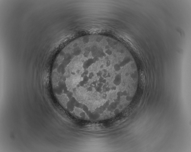 X0000113110499200909181631