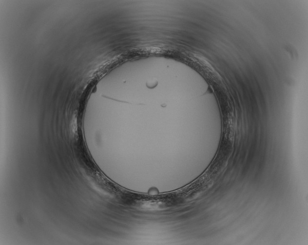 X0000113110500200909181631