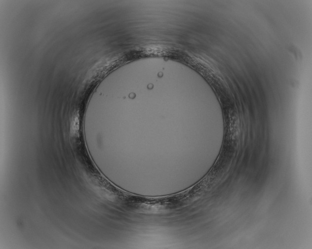 X0000113110502200909181631