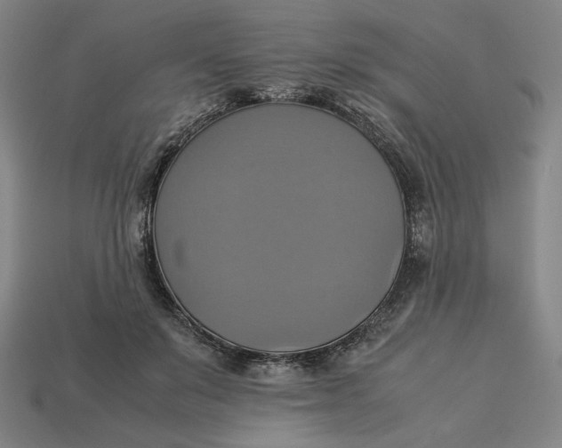 X0000113110503200909181631