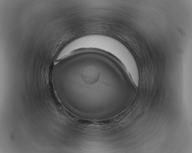 X0000113110504200909181631