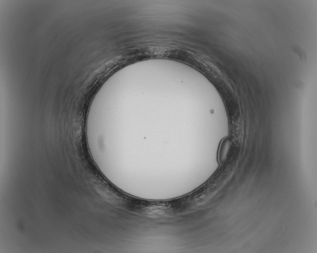X0000113110505200909181631