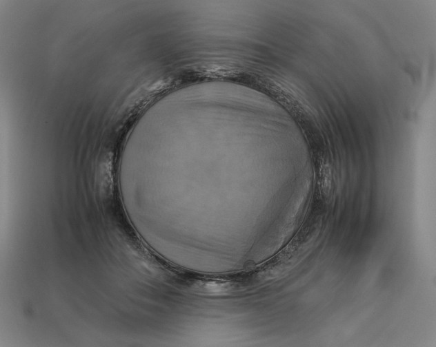 X0000113110506200909181631