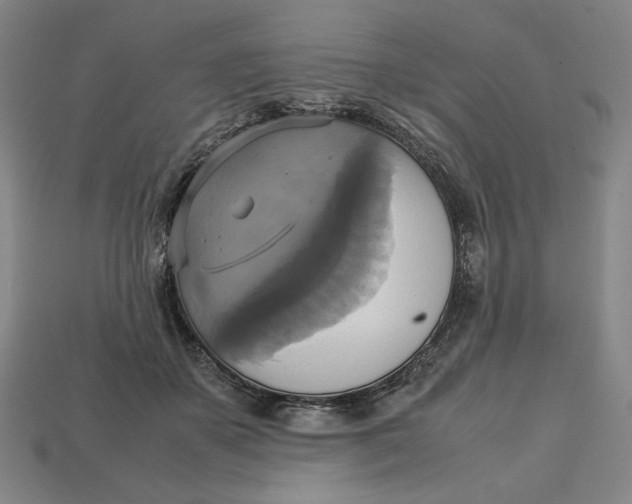 X0000113110507200909181631