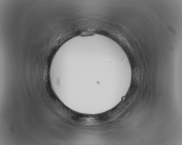 X0000113110509200909181631