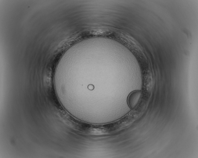 X0000113110510200909181631
