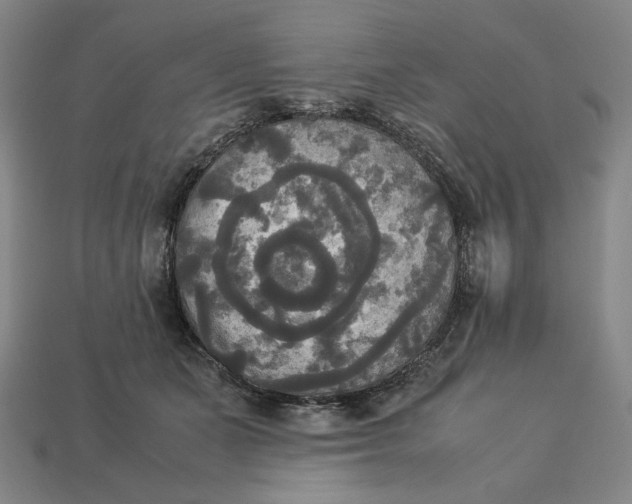 X0000113110511200909181631