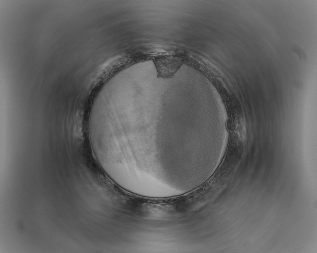 X0000113110512200909181631