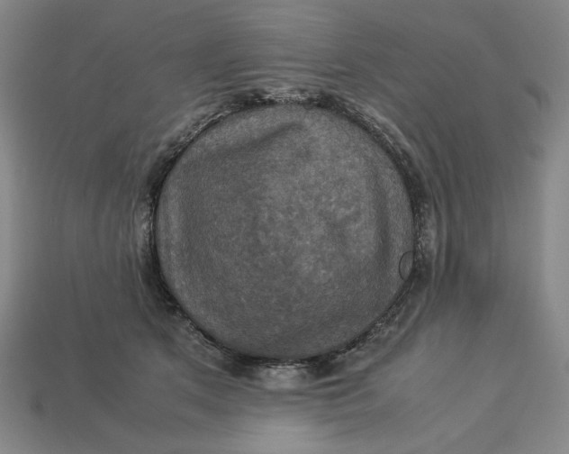 X0000113110513200909181631
