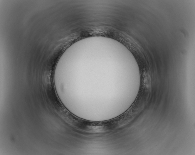 X0000113110514200909181631