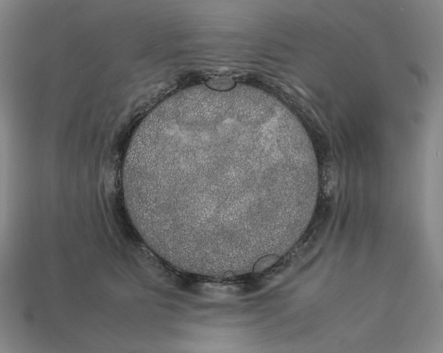 X0000113110515200909181631