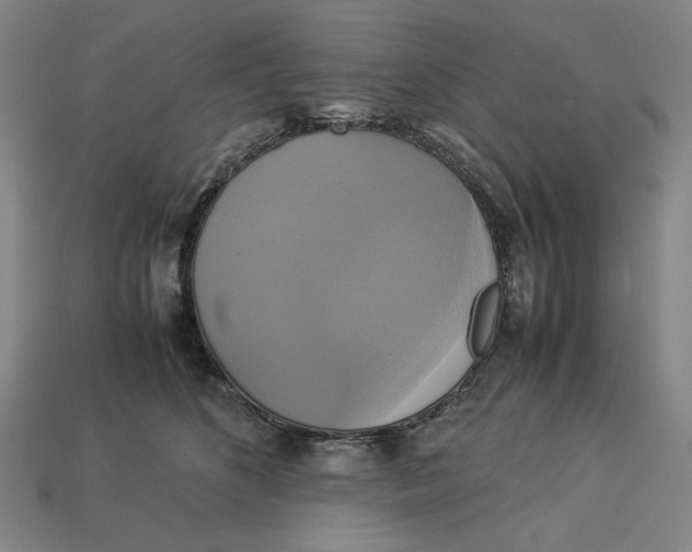 X0000113110516200909181631