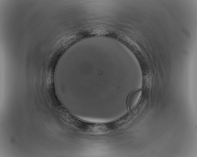 X0000113110517200909181631