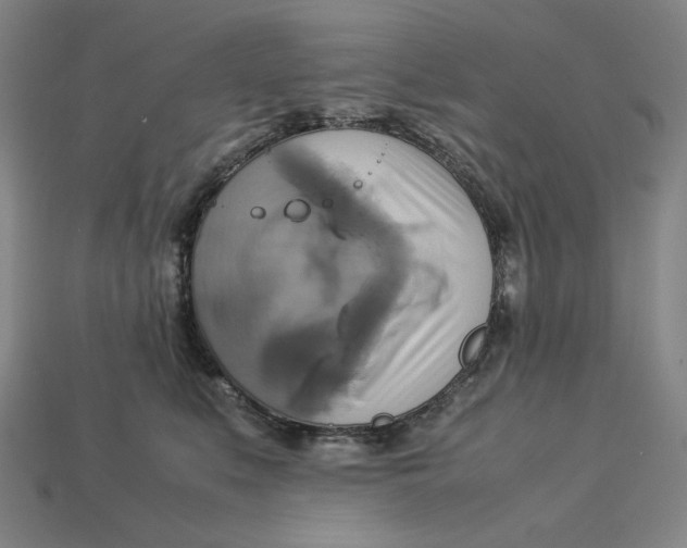 X0000113110519200909181631
