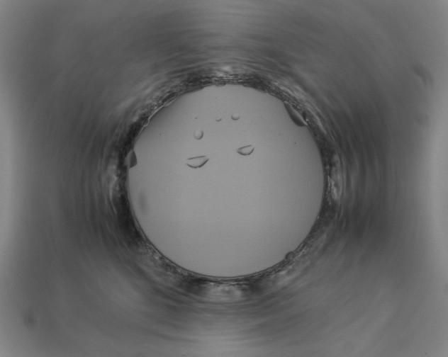 X0000113110520200909181631
