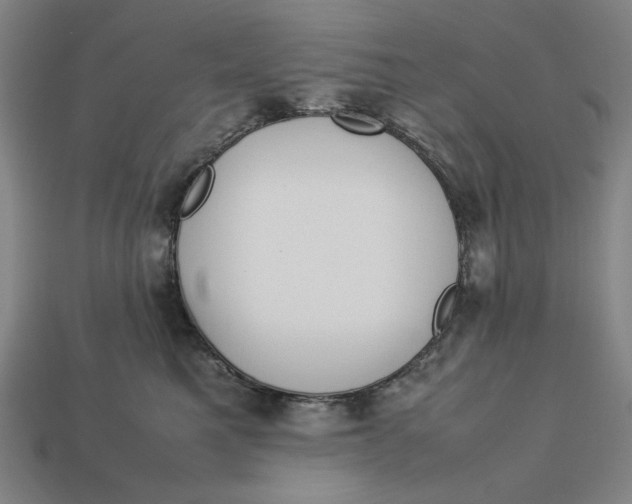 X0000113110521200909181631