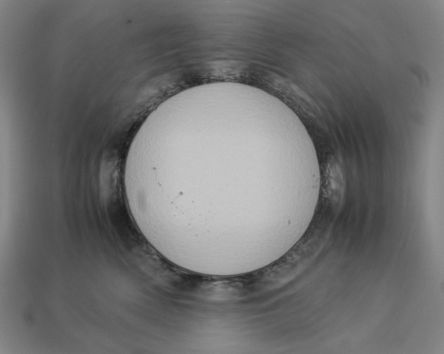 X0000113110522200909181631