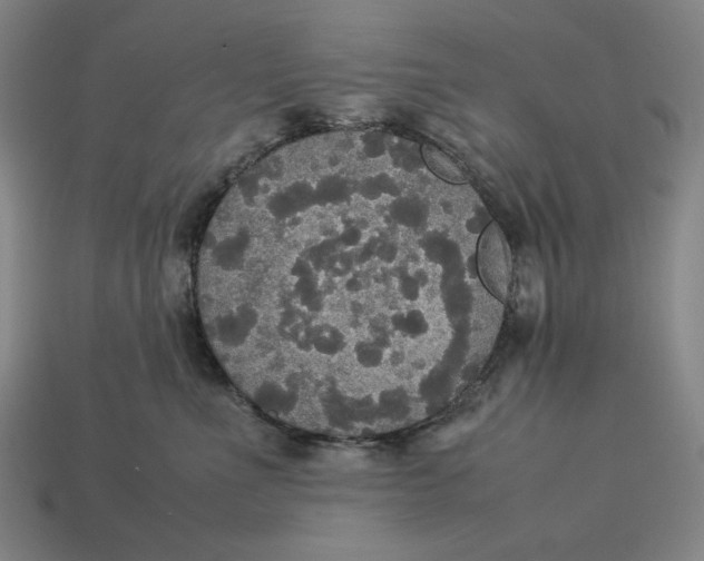 X0000113110523200909181631