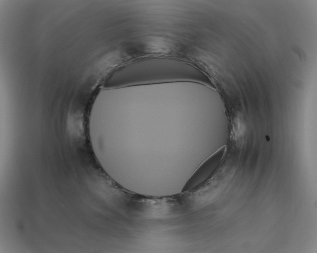 X0000113110524200909181631